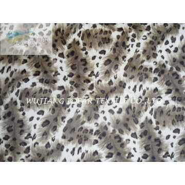 Rizo Micro de leopardo